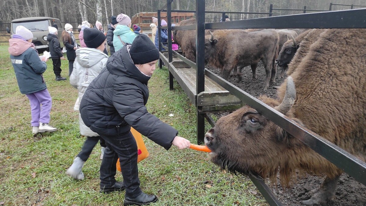 Первыми к зубрам в “Брянский лес” пришли школьники из Суземки