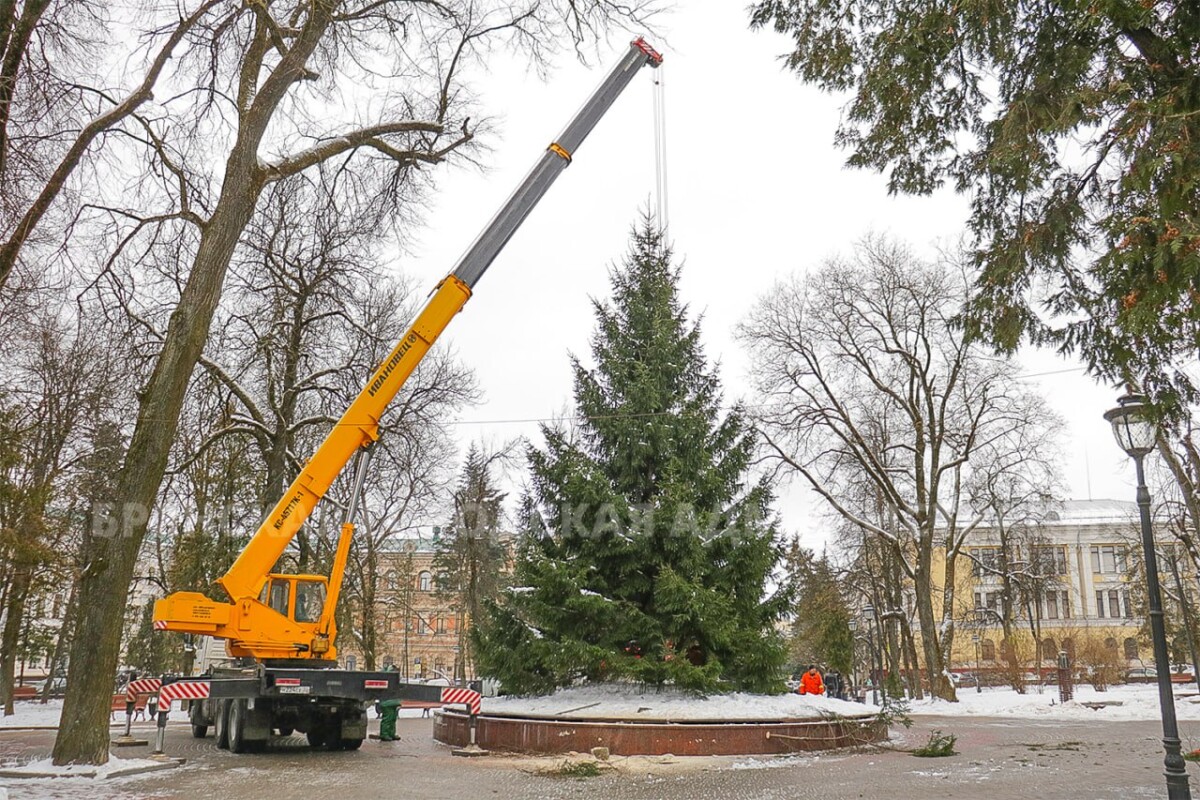 В Брянске главную городскую ёлку установили сегодня