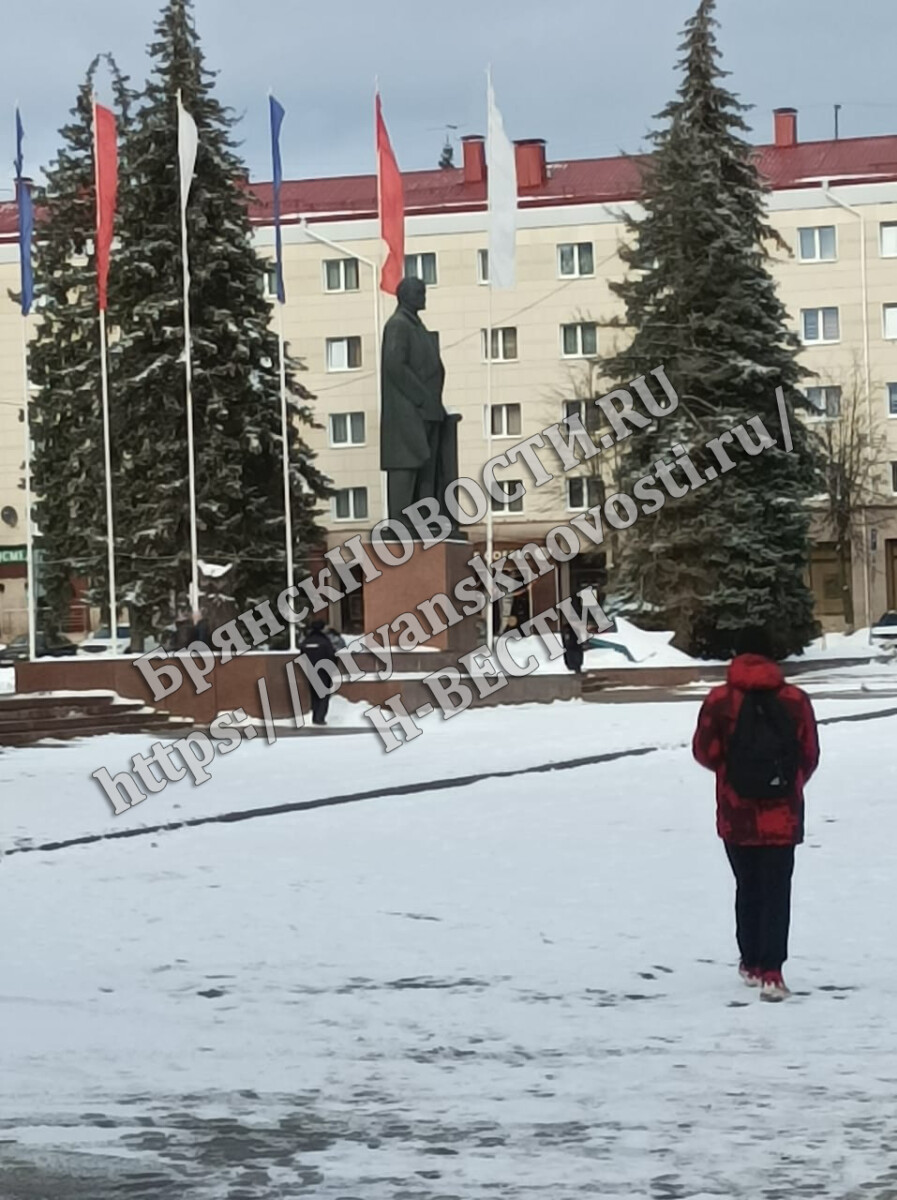 В Брянской области подсчитали жалобы на кибермошенников, страховщиков и МФО