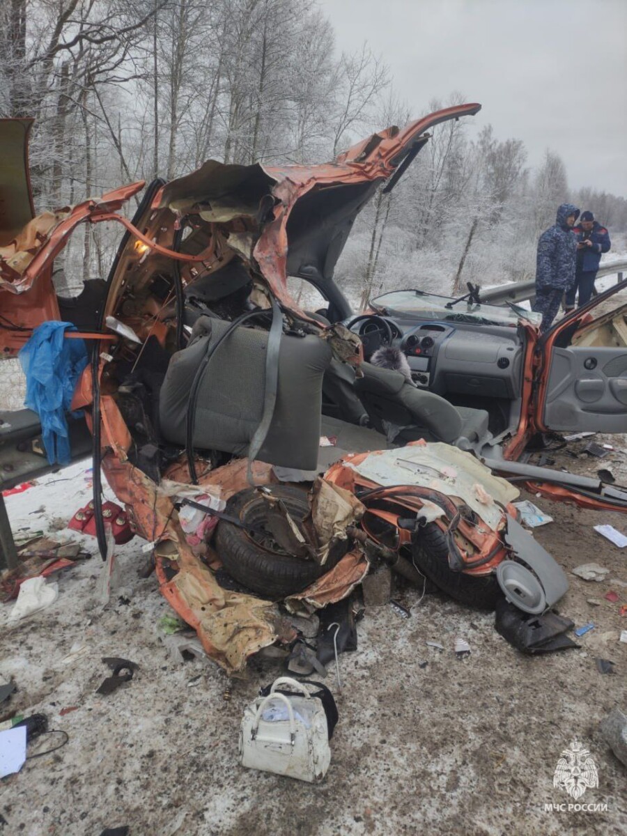 В МЧС Брянской области назвали чудом то, что женщина осталась жива после ДТП