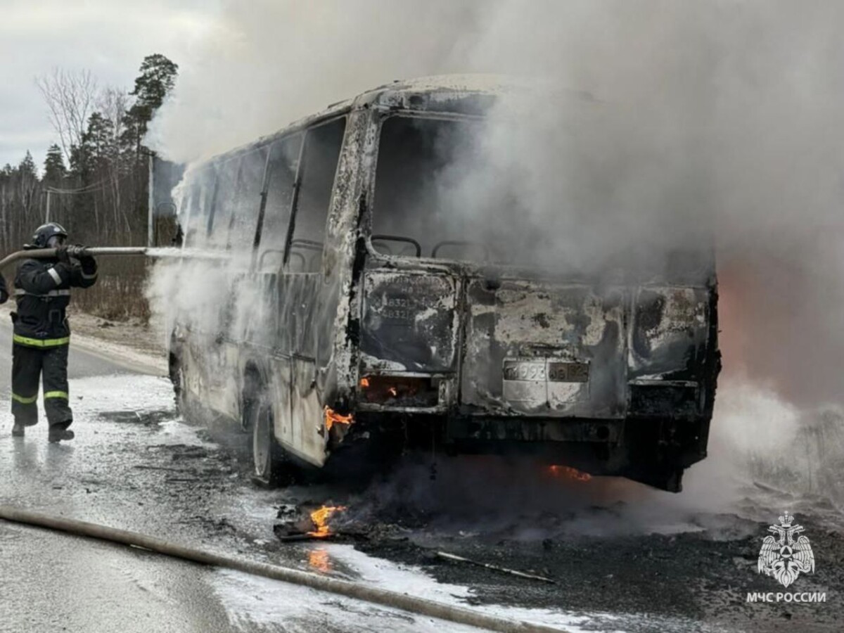 Вблизи Партизанской поляны загорелся автобус в Брянском районе