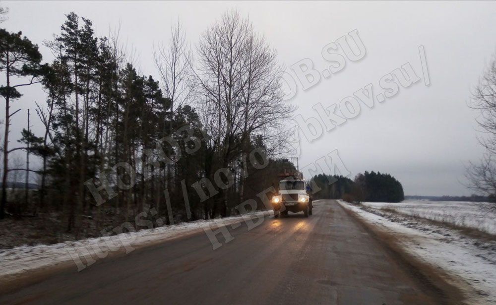 Село в Новозыбковском округе сегодня оставили без света