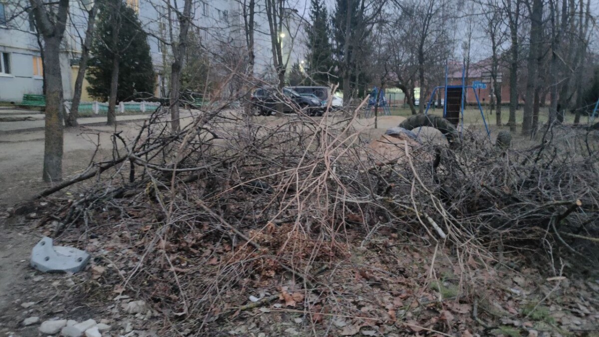 В Новозыбкове на улице Чкалова, 20 творится безобразие