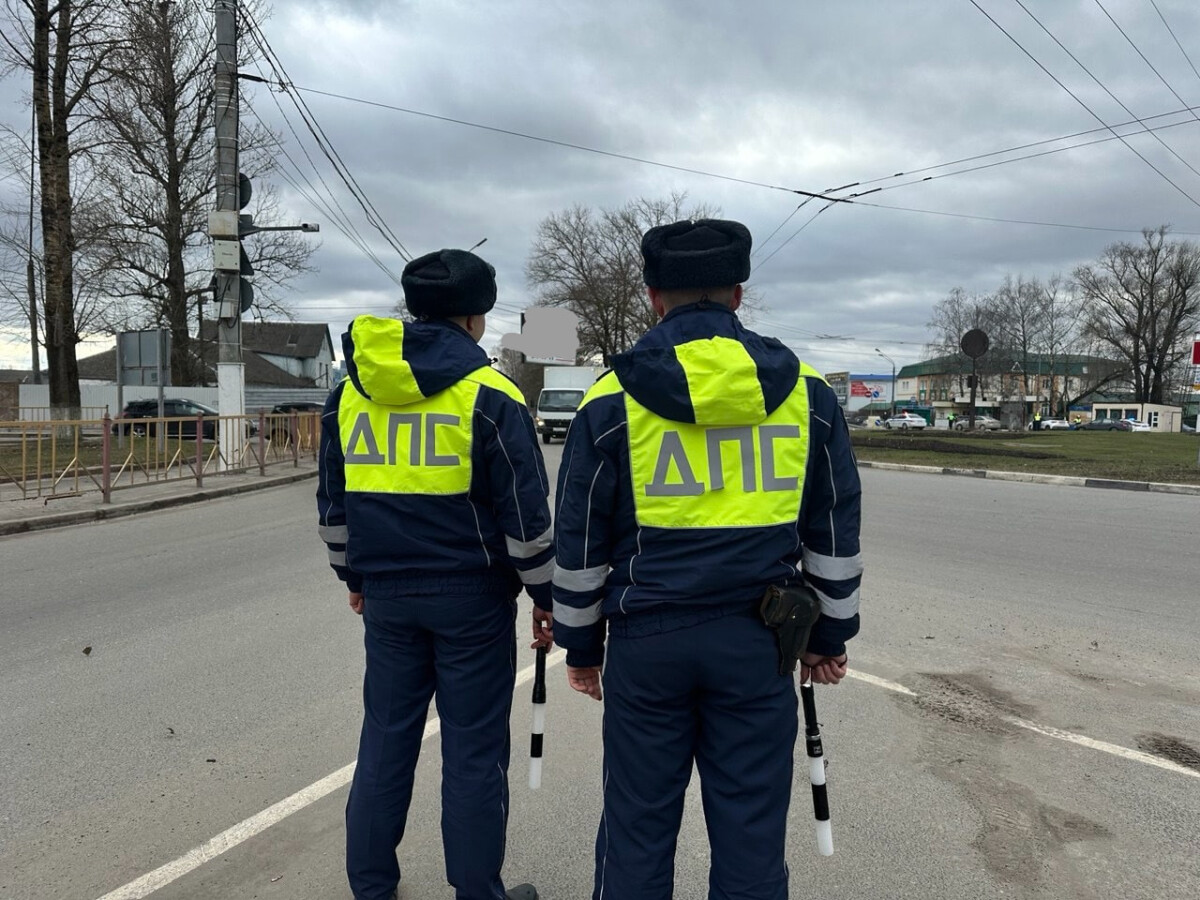 В Брянском районе водитель попала в ДТП из-за собаки на дороге