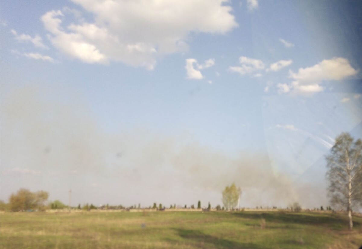 Пожар со стороны Тростани шел на Новозыбков
