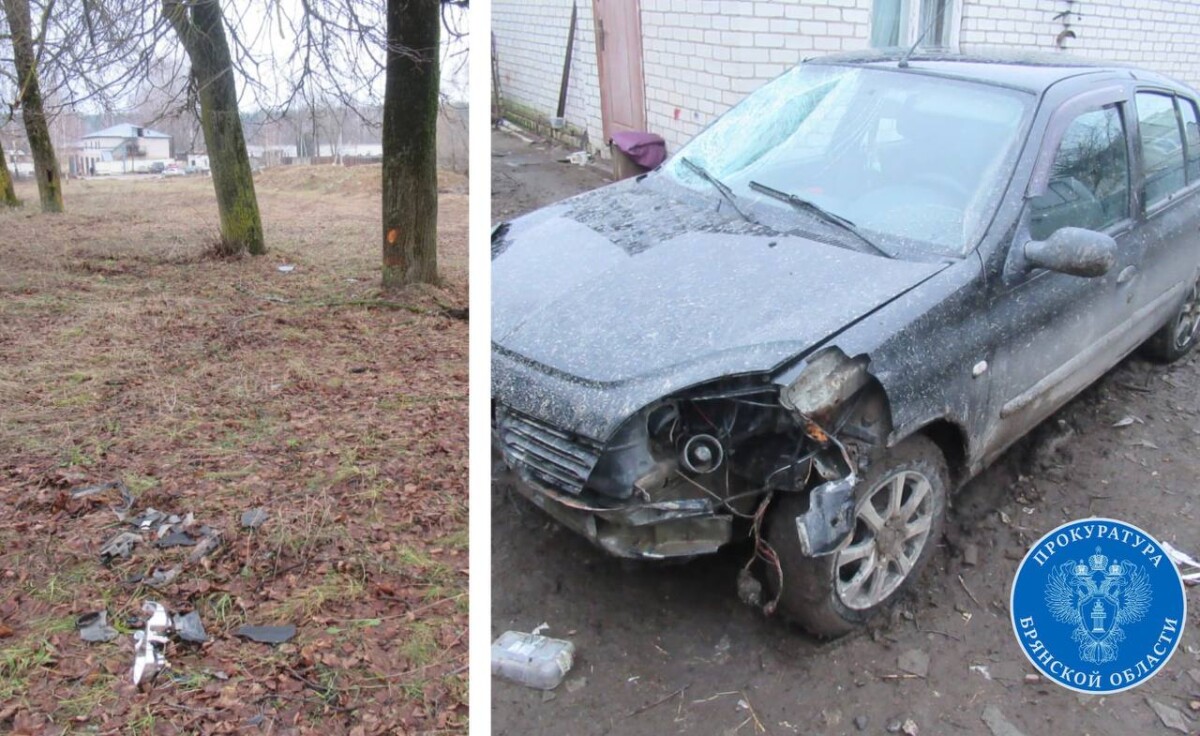 Водитель в Дятьково сбил насмерть человека в Дятьково и сбежал