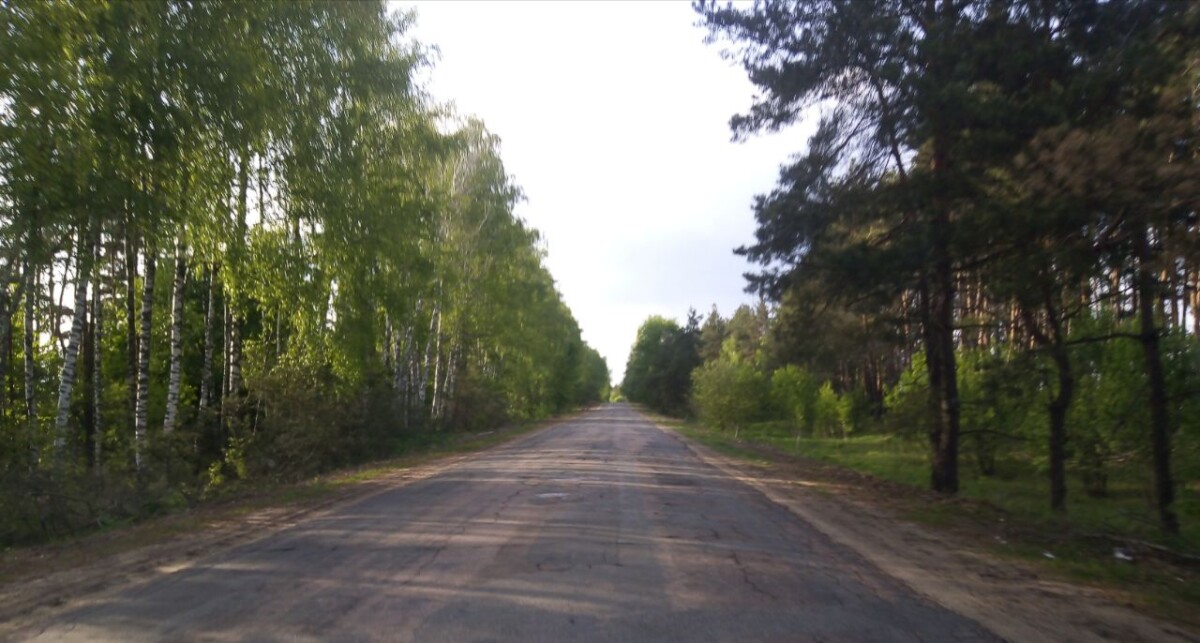 В Новозыбкове за фальшивые права осужден водитель