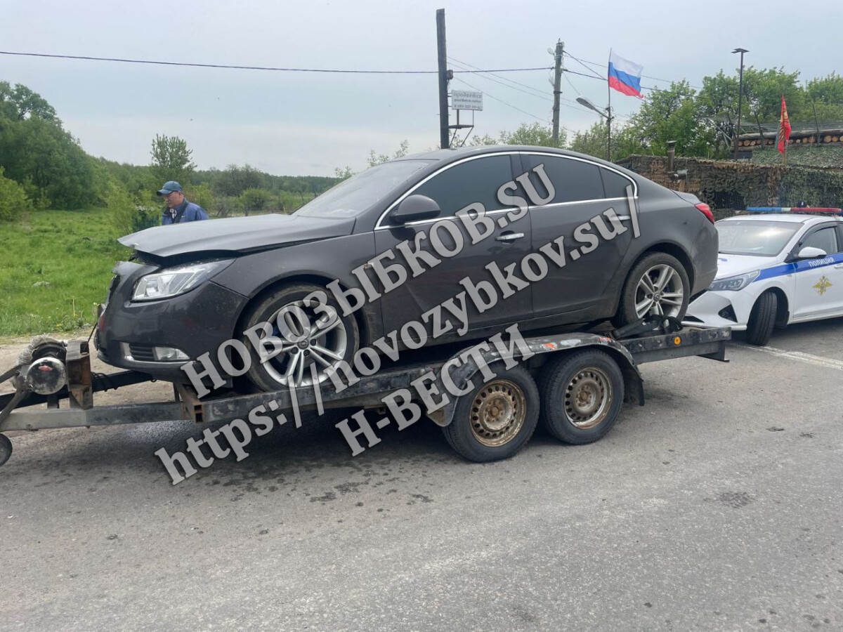 Косуля погибла под колесами иномарки под Климово