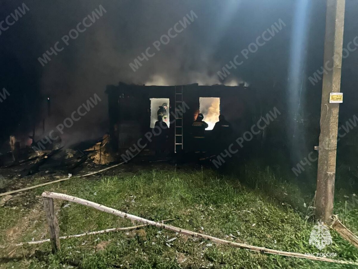 В деревне под Дубровкой сгорел дом, погибла женщина