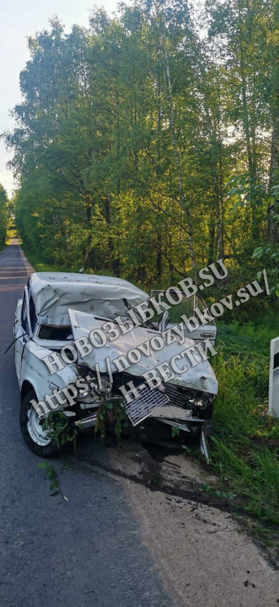 В аварии с лосем под Новозыбковом за рулем был мужчина