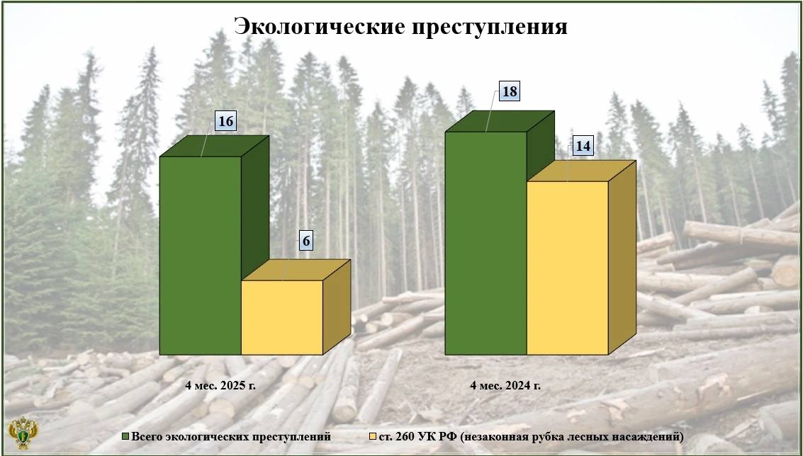 В Брянской области расследуют экологические преступления