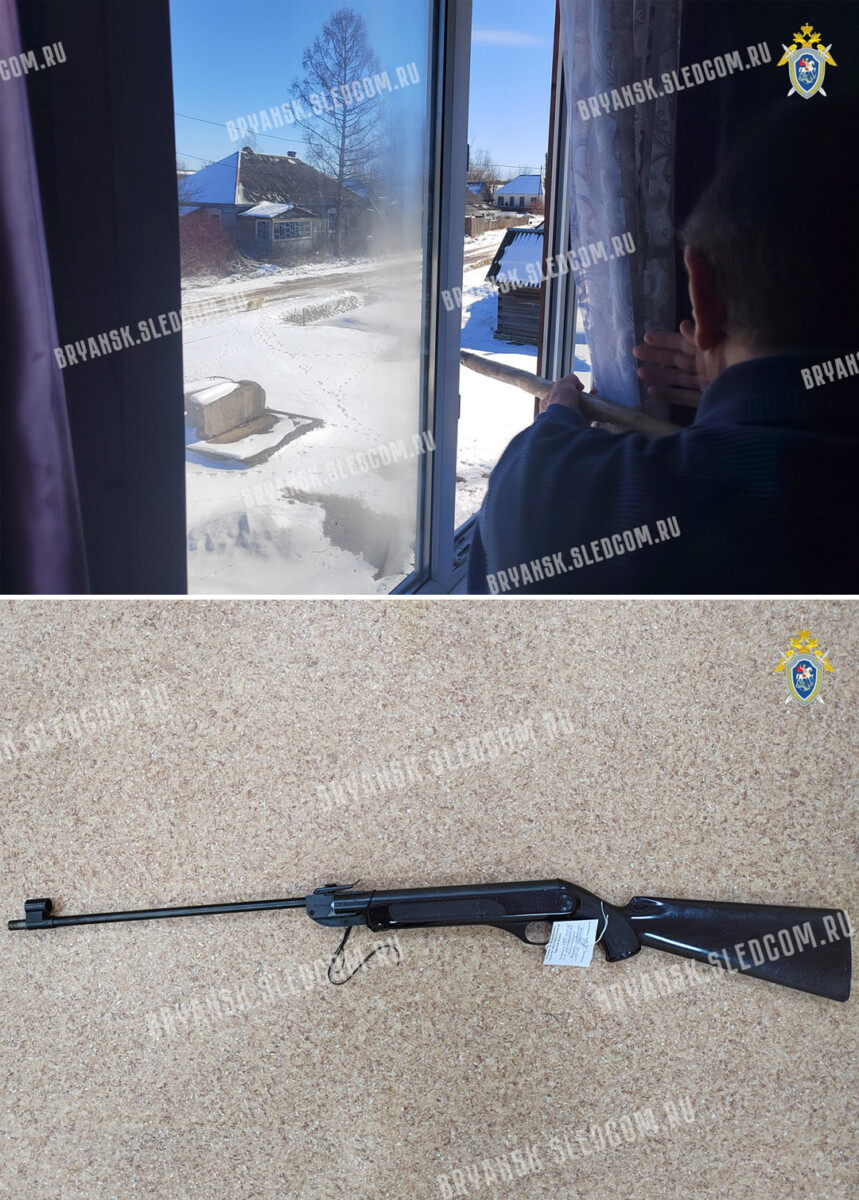 СК показал оружие, из которого пенсионер стрелял в подростков в Клетне