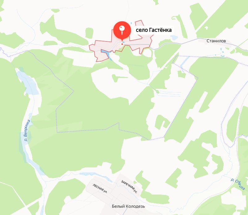 В лесу под Новозыбковом заблудилась женщина