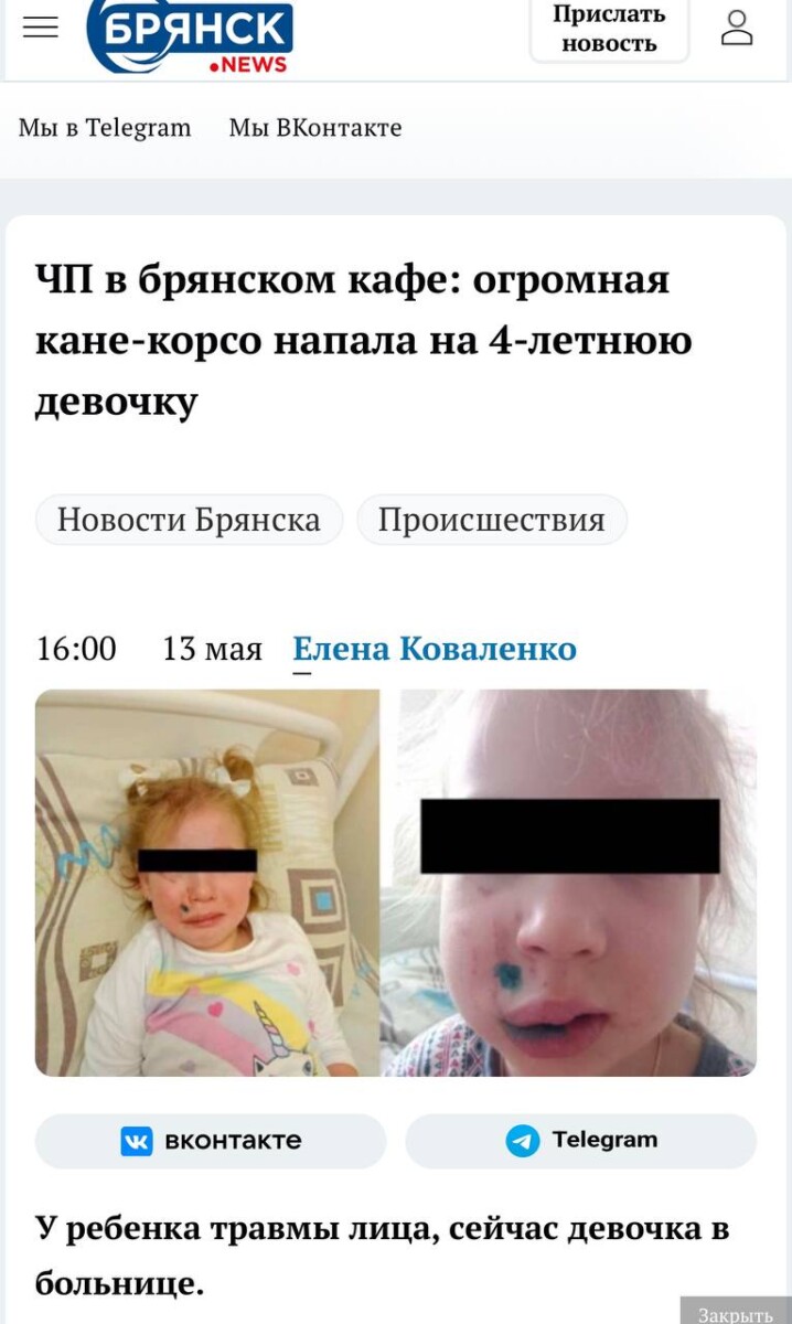 В Брянске к хозяйке кане-корсо, покусавшей ребенка, предъявлен иск на полмиллиона