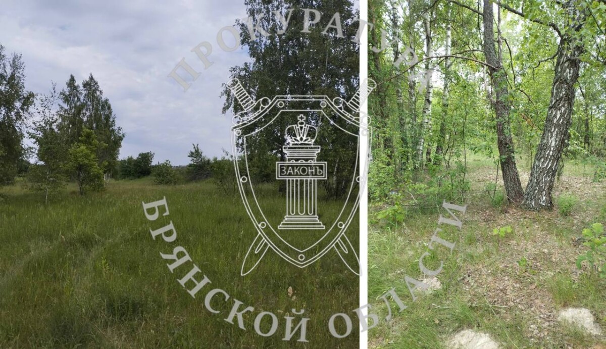 В Новозыбкове многодетным семьям участки выделили почти в лесополосе