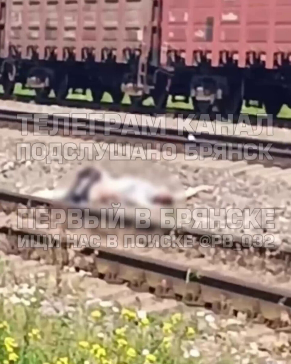 В Брянской области водитель мотоцикла попал под локомотив и погиб