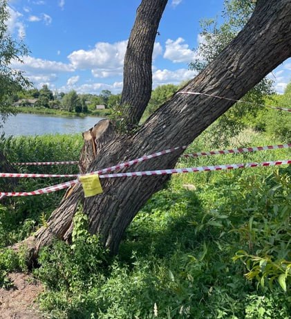 Жалобу жителей Стародуба услышали в прокуратуре