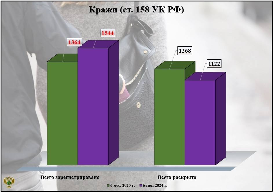 С января по июнь в Брянской области произошло 1364 кражи