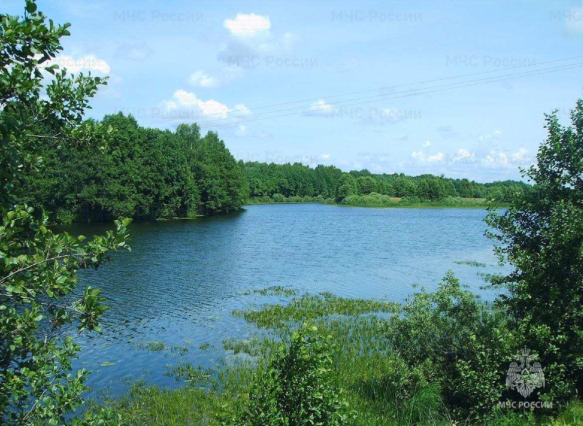 В озере Почепского района всплыло тело мужчины