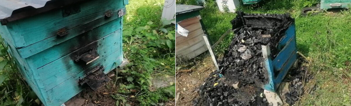В Рогнединском районе женщина сожгла пасеку