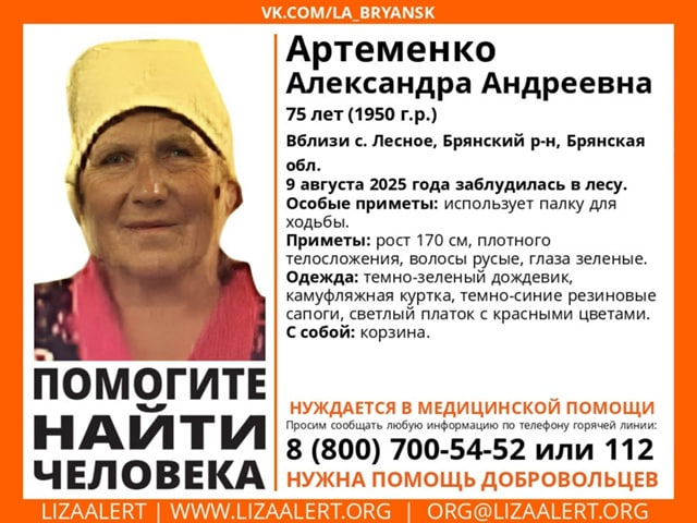 75-летняя женщина заблудилась в брянском лесу