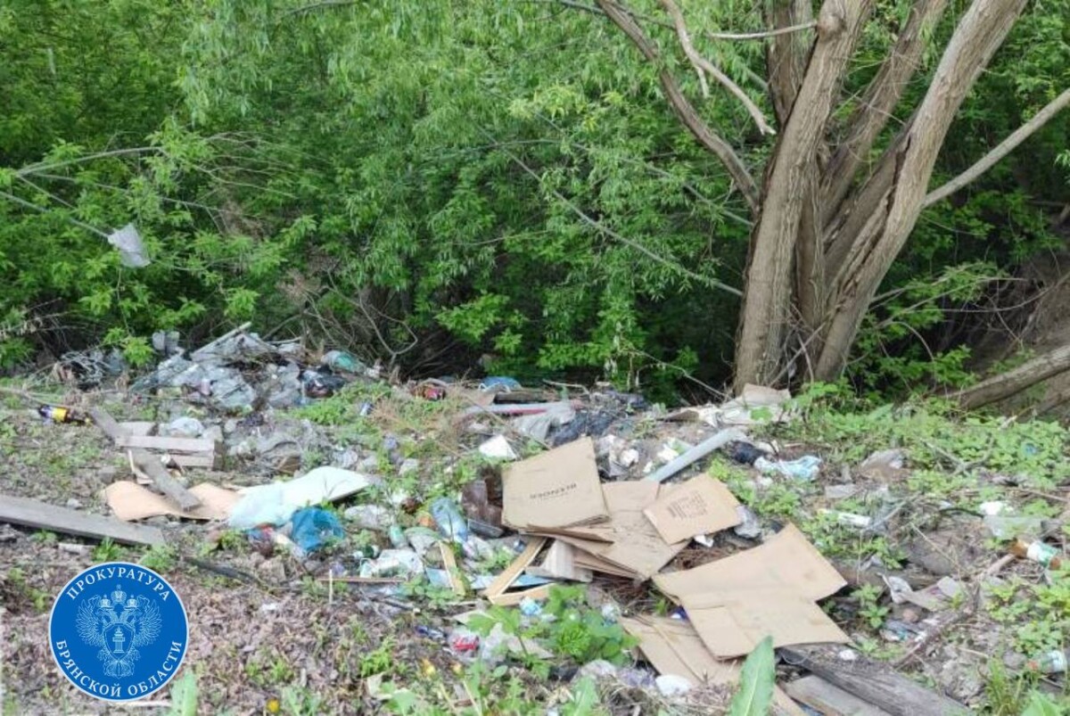 Свалку на Крапивницкого в Брянске заставляет убрать прокуратура 