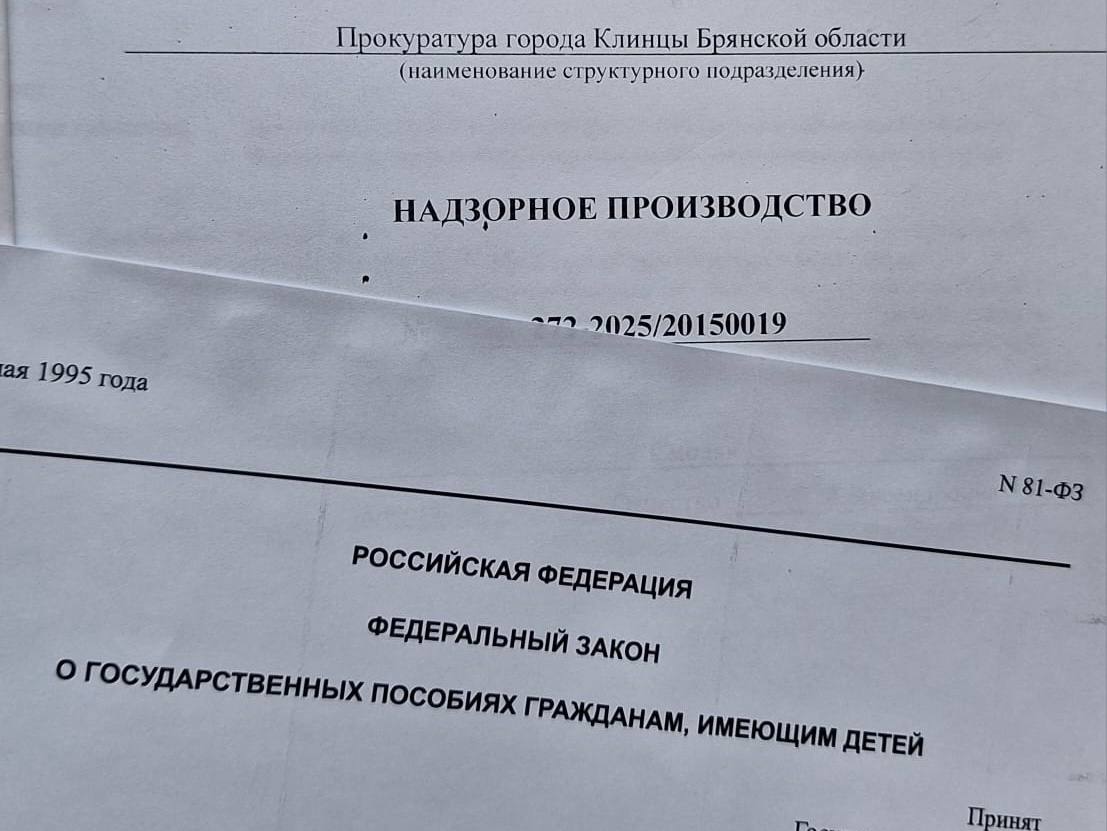 В Клинцах соцфонд отказал матери в выплатах на ребенка