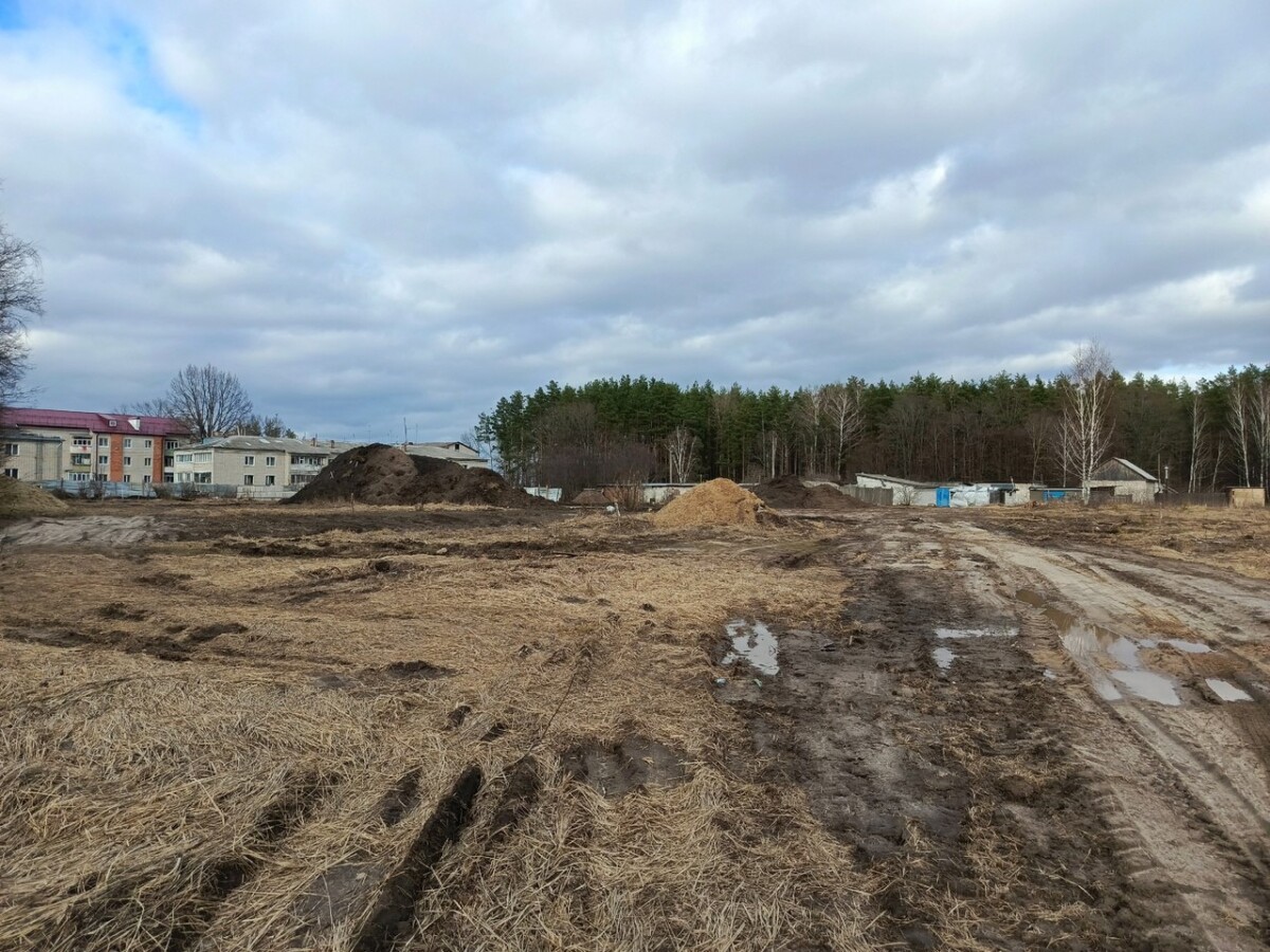 На улице РОС в Новозыбкове водитель повредил два колеса