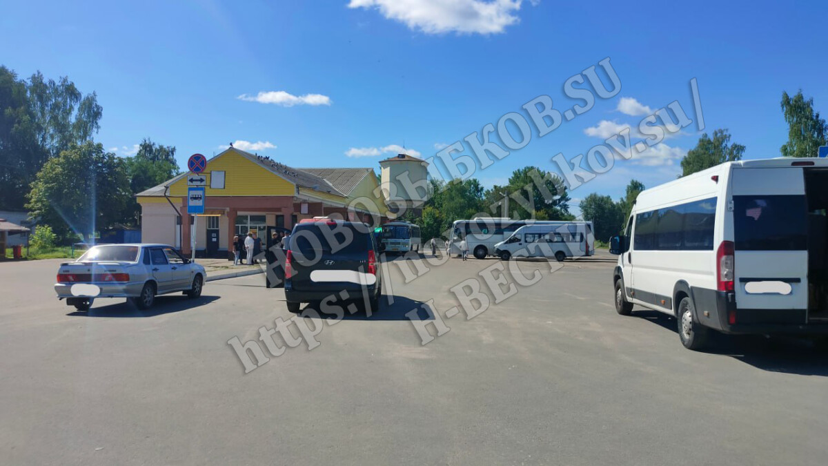 Оштрафован дебошир из автобуса Брянск — Новозыбков, ударивший сотрудника полиции