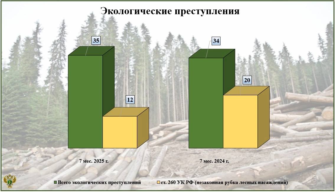 Экологические преступления нанесли в пять раз меньше вреда Брянской области 