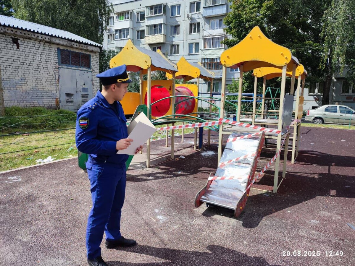 В Брянске на детской площадке травмирован ребенок