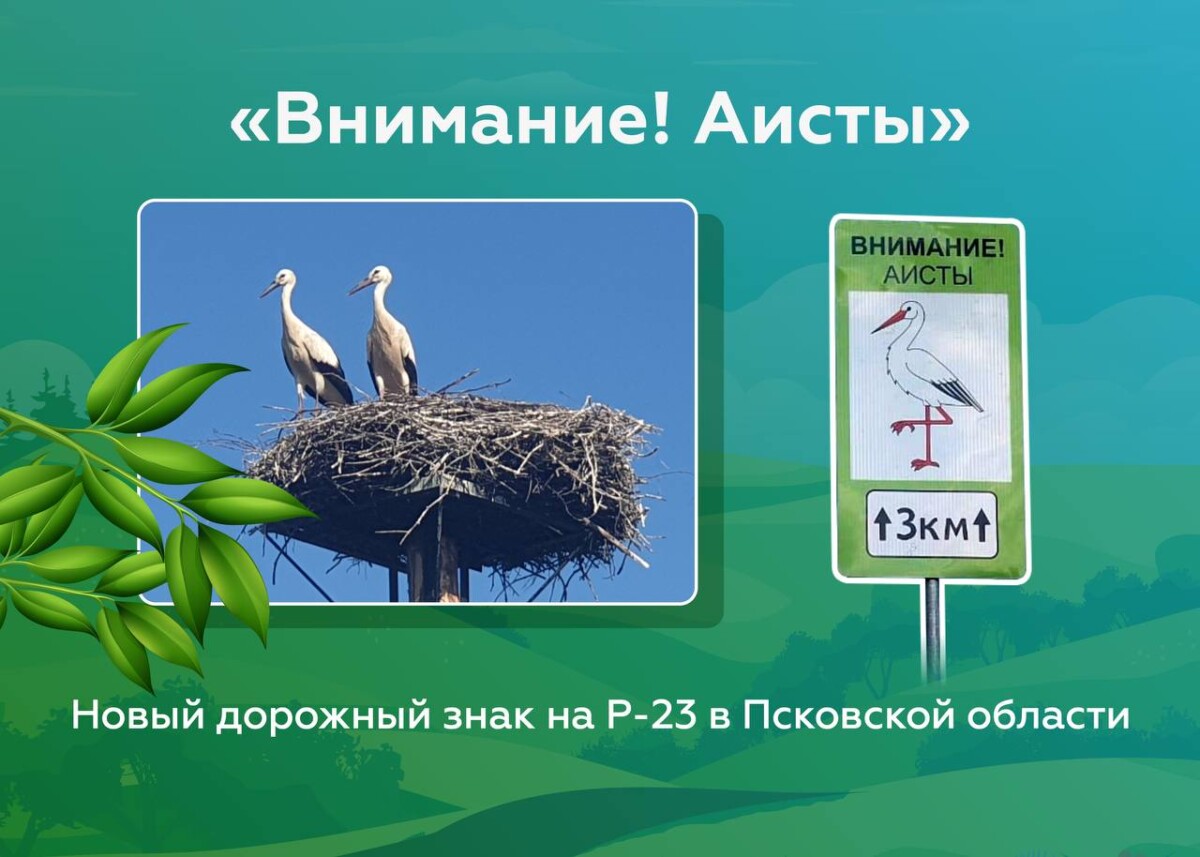 Первый в Псковской области знак «Внимание! Аисты» установил Росавтодор