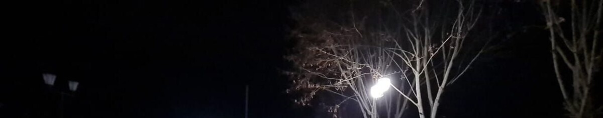 К осени под Брянском не успеют оборудовать освещение пешеходного перехода, начались судебные тяжбы
