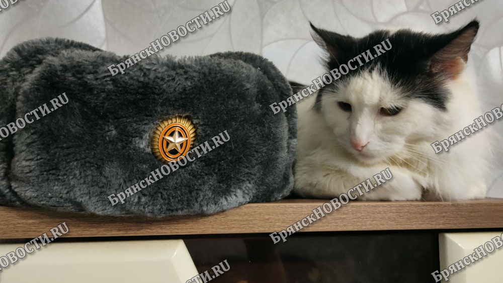 Осенний призыв на службу в ВС РФ пройдет в плановом порядке и не связан с проведением СВО