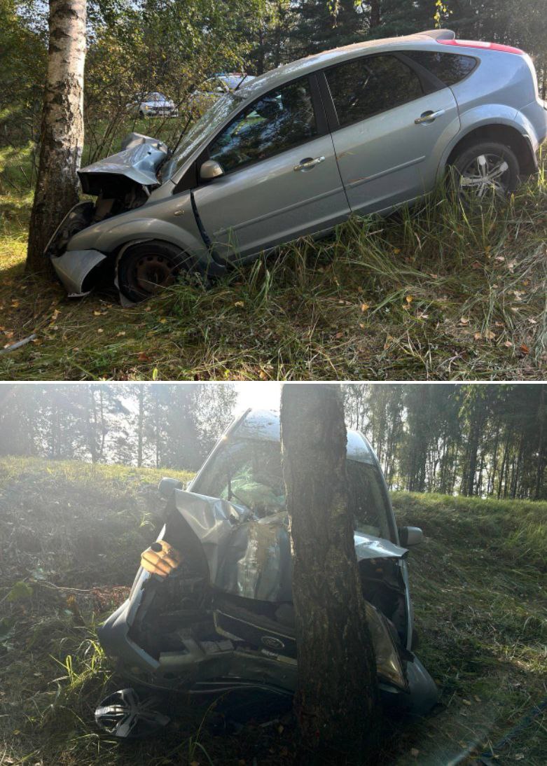Водитель не удержал автомобиль на брянской трассе и влетел в дерево