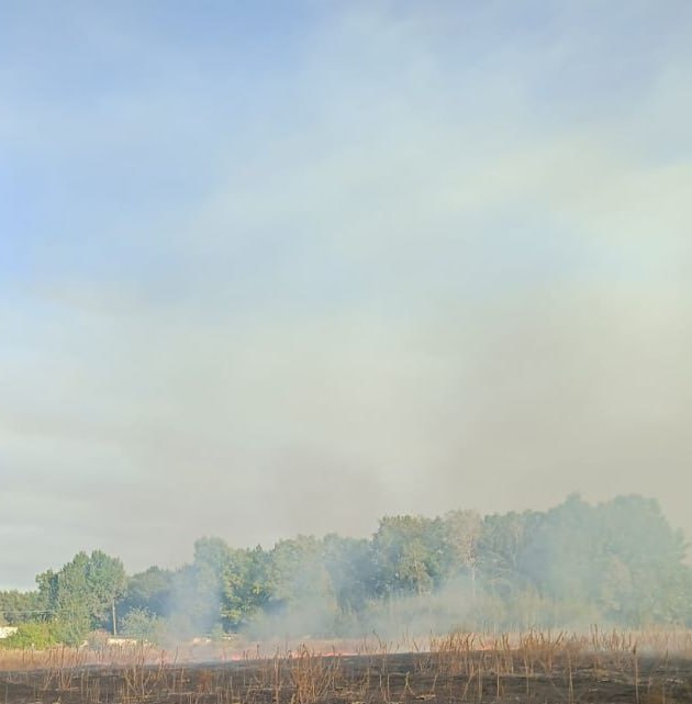 Видеокамера обнаружила начинающийся лесной пожар в Новозыбковском округе