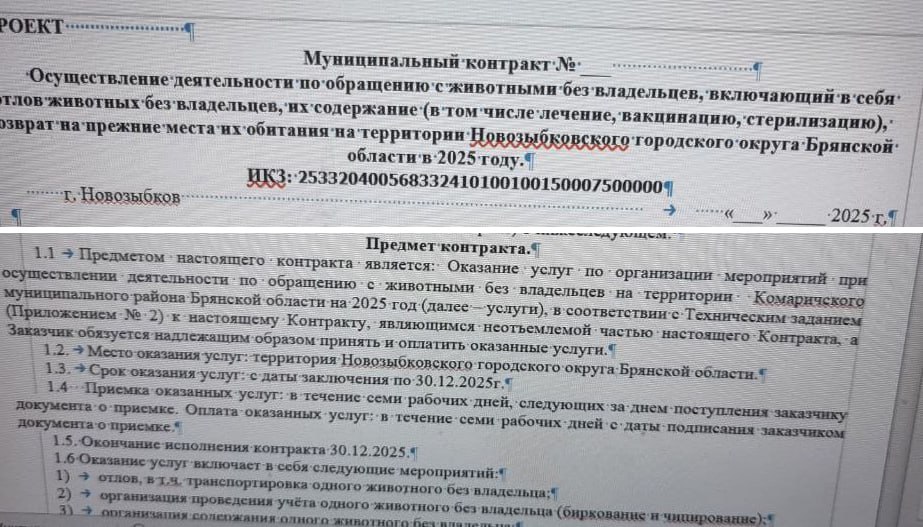 Муниципальщики Новозыбкова успешно провели торги на отлов бездомных собак на территории Комаричского района