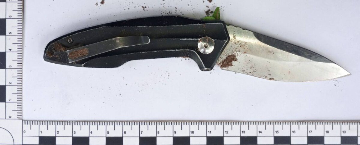 В Климово судят обвиняемого в покушении на убийство