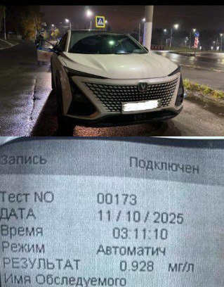 По наводке горожан в Брянске задержали пьяного водителя  