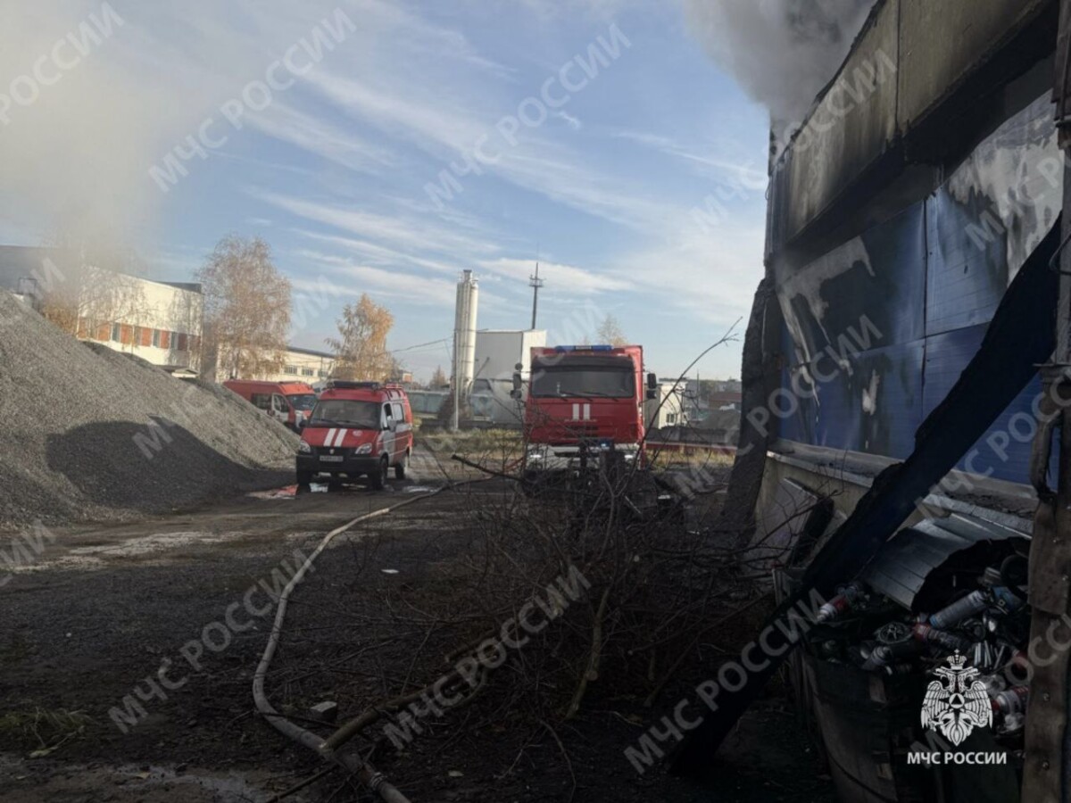 Огонь уничтожил две машины в автосервисе Брянска