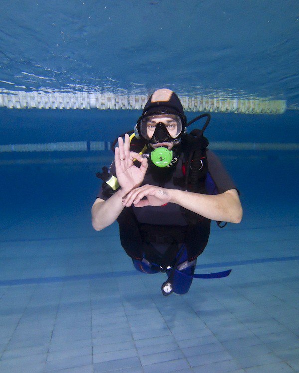 Первый в Брянске международный сертификат вручили парадайверу