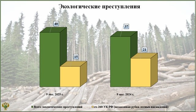 Лесные браконьеры ответят за незаконные рубки леса в десяти районах Брянской области