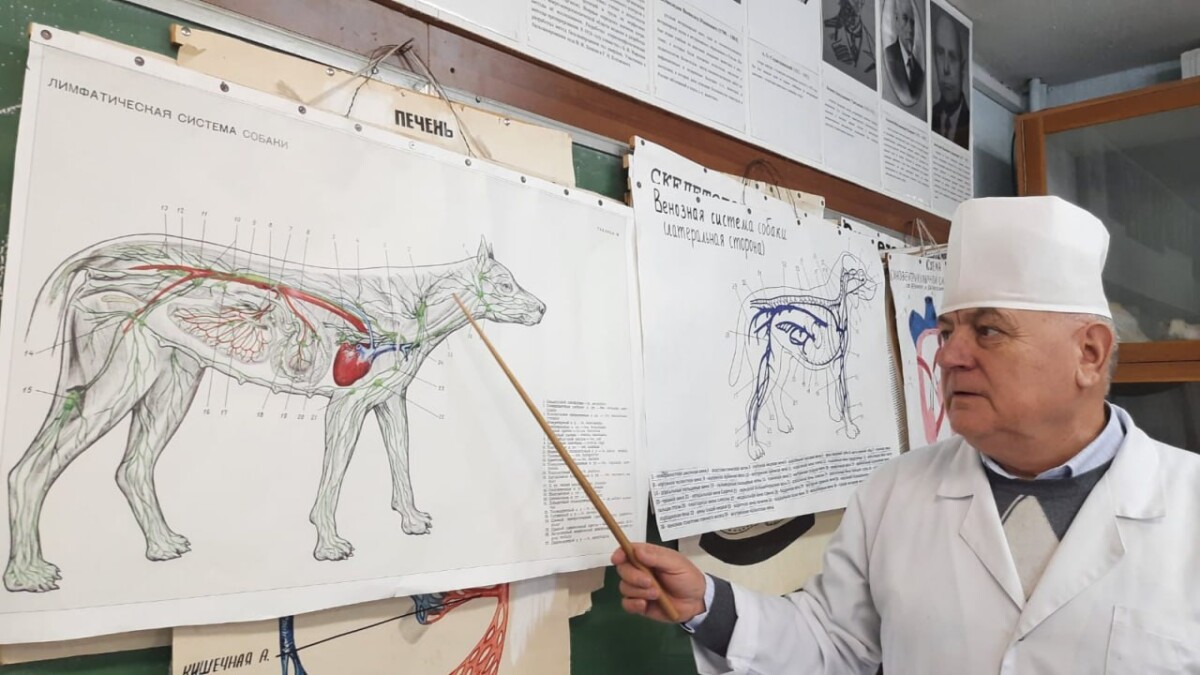 Необычный предмет «Собаковод» изучают в брянском вузе