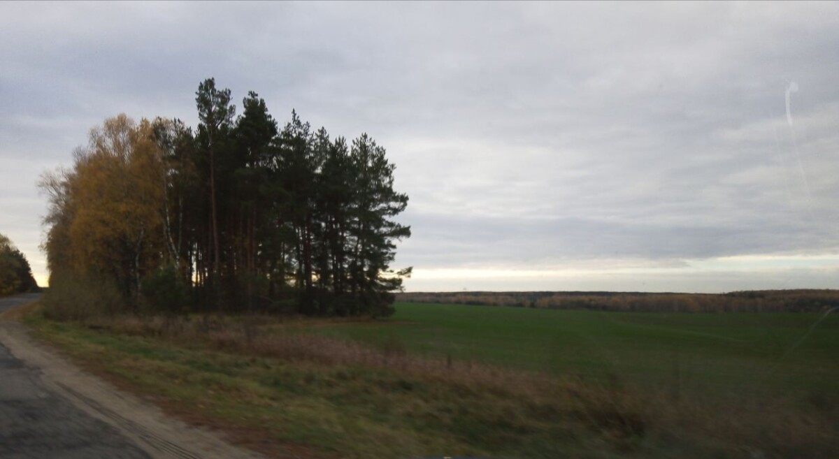 Видеокамера зафиксировала термическую точку на границе Новозыбковского округа