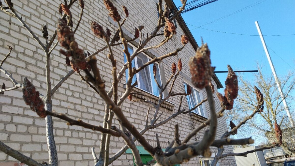 Каким будет первый ноябрьский день в Брянской области