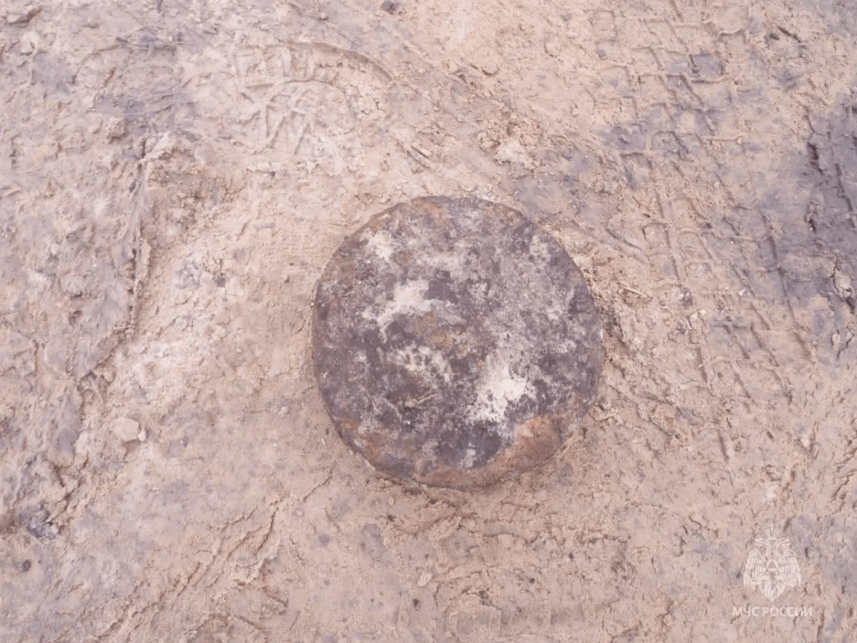 В Мглинском районе нашли мину времён Великой Отечественной войны