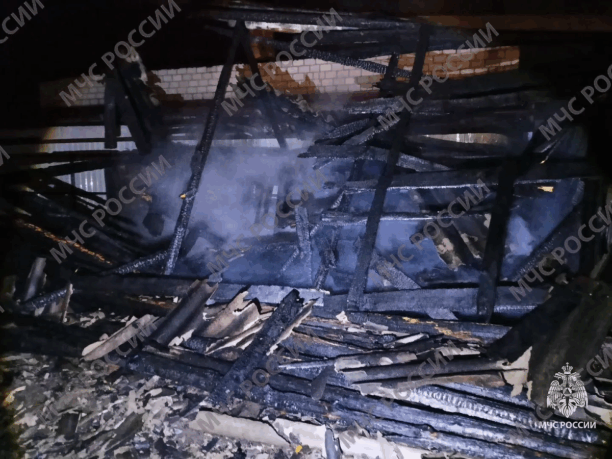 В Новозыбкове сгорел дом, погибли мальчик и мужчина