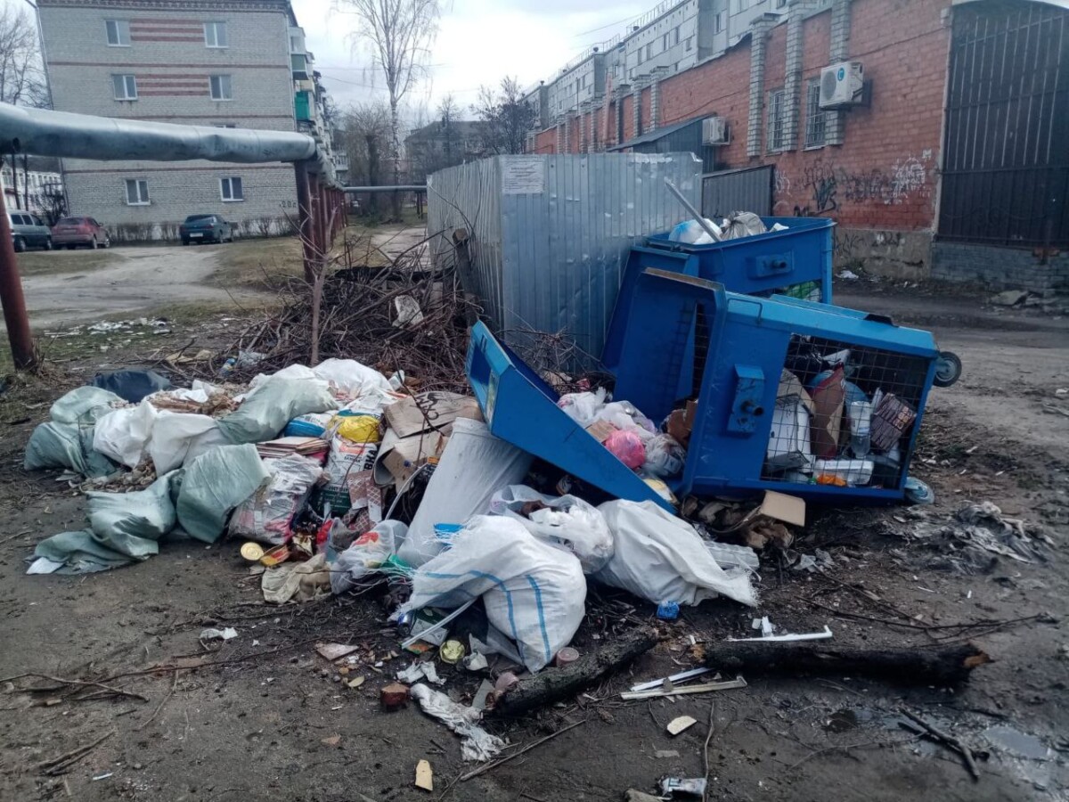 В Брянской области сортируется незначительная часть собираемого мусора