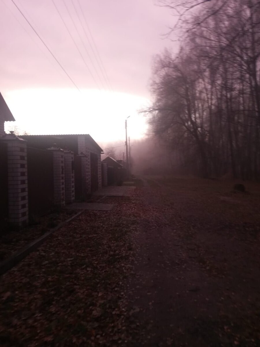 Ночью и утром туман в Брянской области