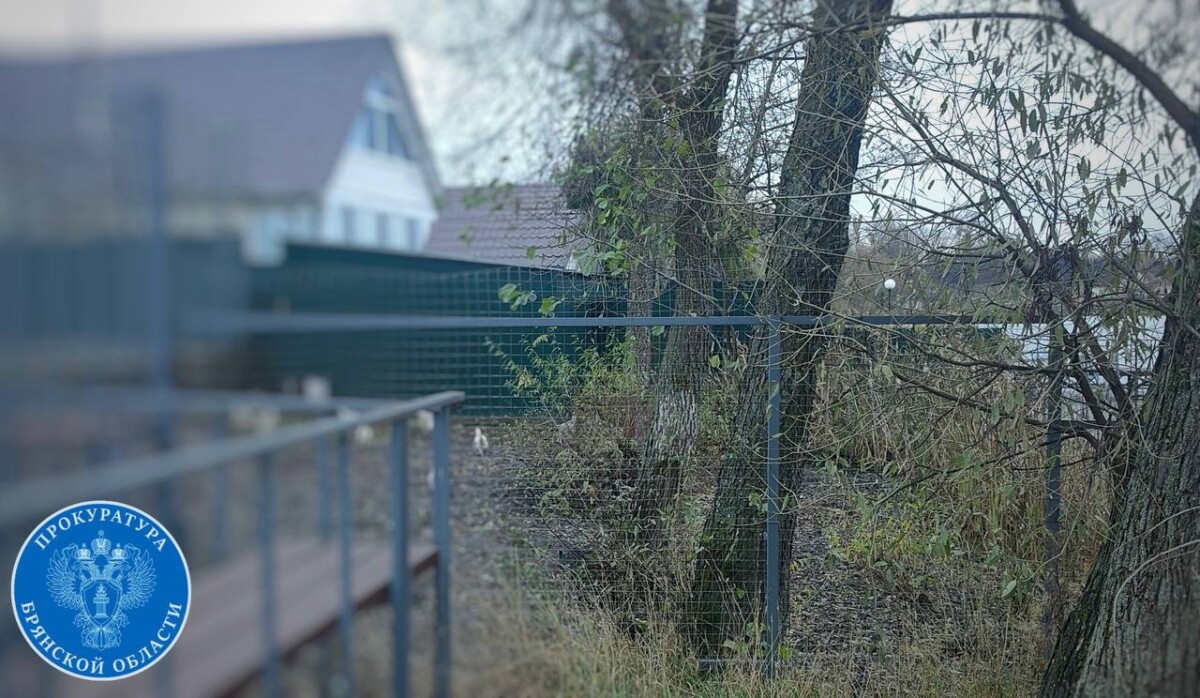 В поселке Дятьковского района заставили демонтировать забор у воды